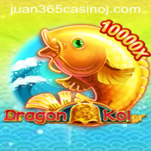 Exploring DragonKoi at Juan 365 Casino