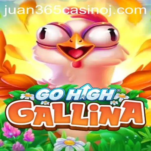 Exploring GoHighGallina: An Immersive Adventure with Juan 365 Casino